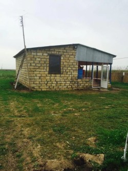 image 311029