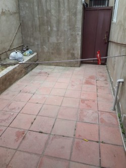 image 311042