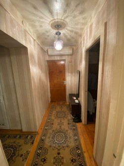 image 311055