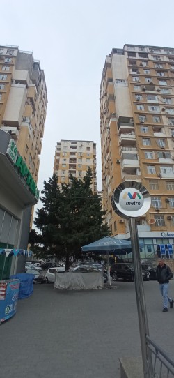 image 311066