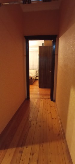 image 311066