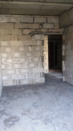 image 311074