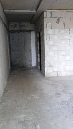 image 311074