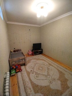 image 311091