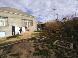 image 311091