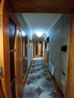 image 311091