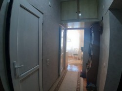 image 311265
