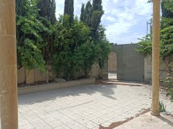 image 311382
