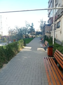 image 311404