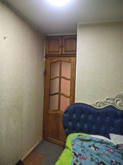 image 311509