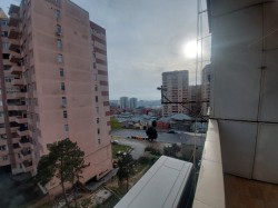 image 311532