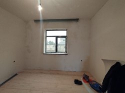 image 311536
