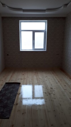 image 311551