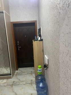 image 311643
