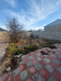 image 311717