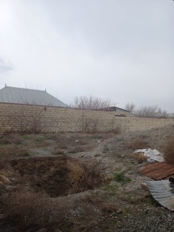 image 311717