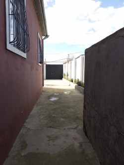 image 311721