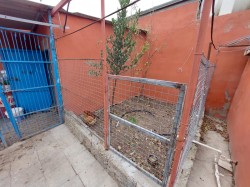 image 311747