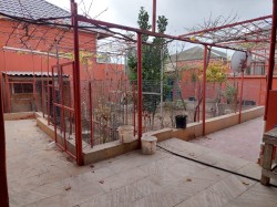 image 311747