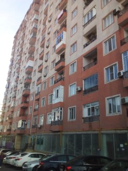 image 311772