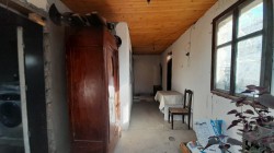 image 311786