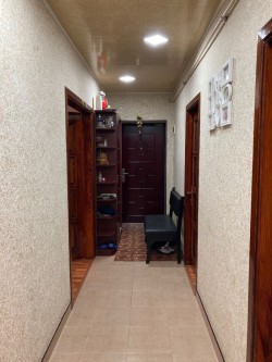 image 311812
