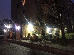 image 311815