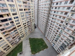 image 311857