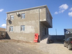 image 311921