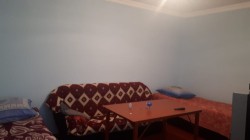 image 311942