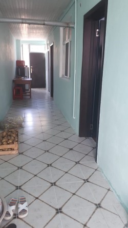 image 311942