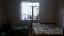 image 311946