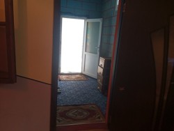 image 311956
