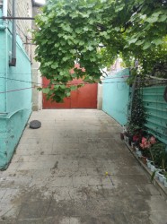 image 311960