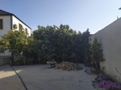image 311963