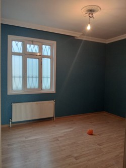 image 328284