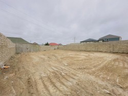 image 331283