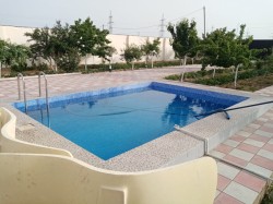 image 331927