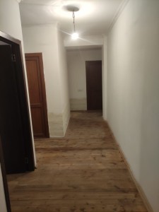 image 373031