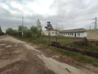 image 373280