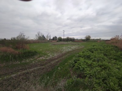 image 373280