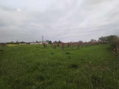 image 373280