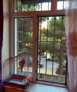 image 373841