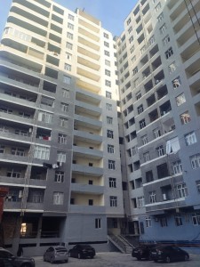 image 373862
