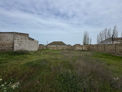 image 373875