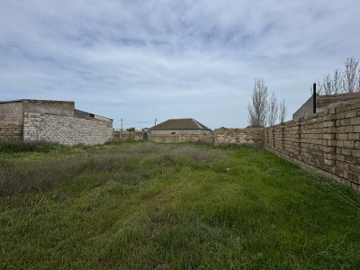 image 373875