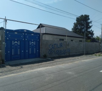image 374439