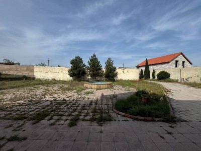 image 374827