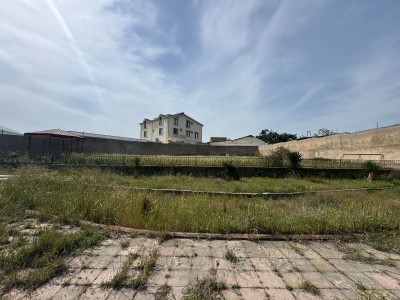 image 374827