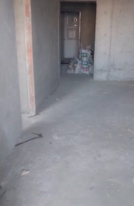 image 374828
